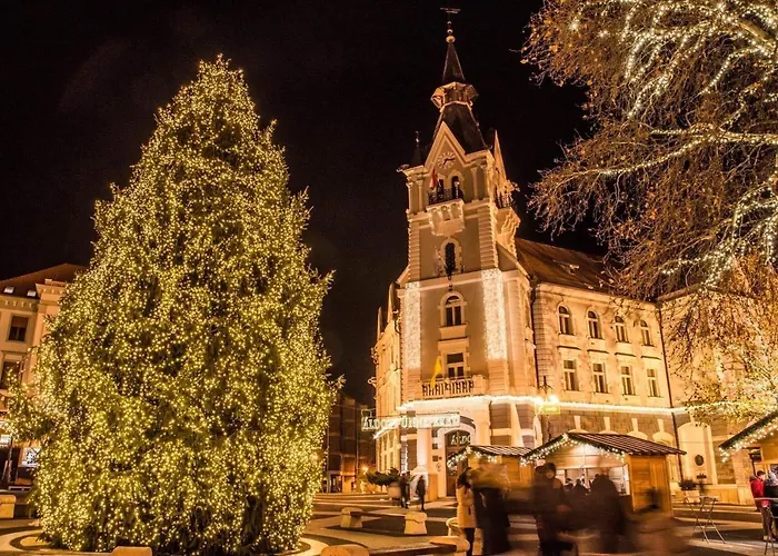 Apartament Varos Szive *